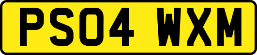 PS04WXM