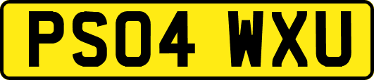 PS04WXU