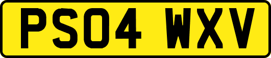 PS04WXV