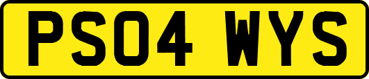 PS04WYS