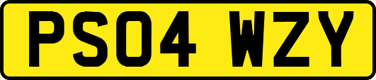 PS04WZY