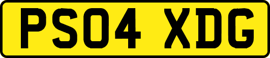 PS04XDG