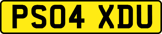 PS04XDU