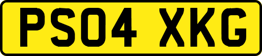PS04XKG