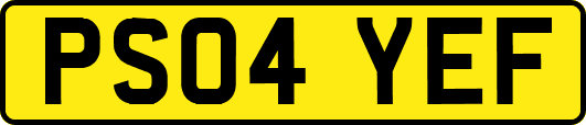 PS04YEF