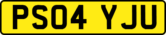 PS04YJU