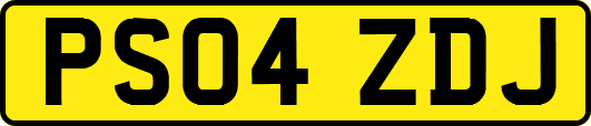 PS04ZDJ