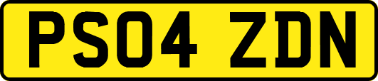 PS04ZDN