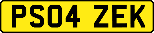 PS04ZEK