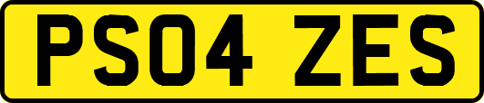 PS04ZES