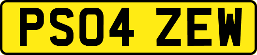 PS04ZEW