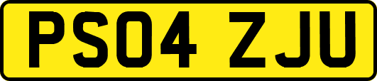 PS04ZJU