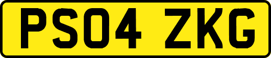PS04ZKG