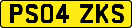 PS04ZKS