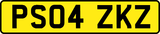 PS04ZKZ