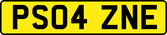 PS04ZNE