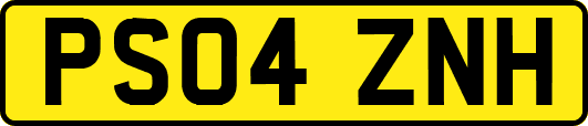 PS04ZNH