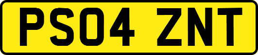 PS04ZNT