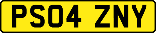 PS04ZNY