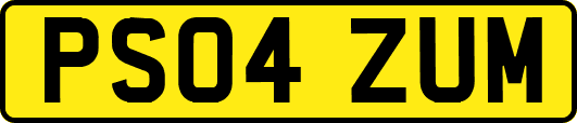 PS04ZUM