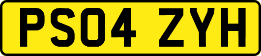 PS04ZYH