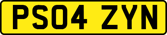 PS04ZYN