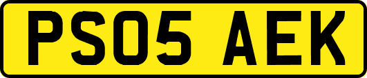 PS05AEK