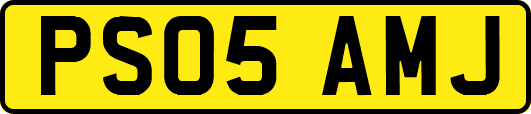 PS05AMJ