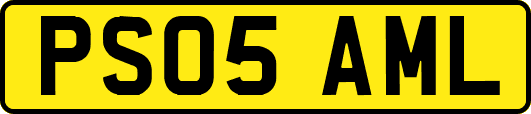 PS05AML