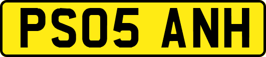 PS05ANH