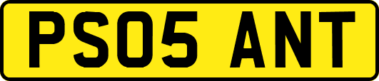PS05ANT