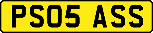 PS05ASS