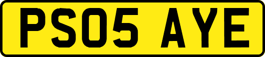 PS05AYE