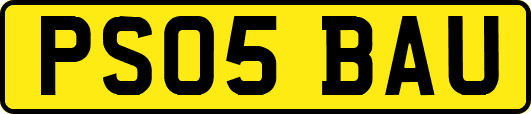PS05BAU