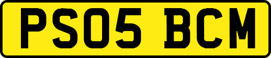 PS05BCM