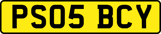 PS05BCY