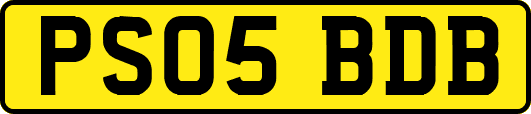 PS05BDB