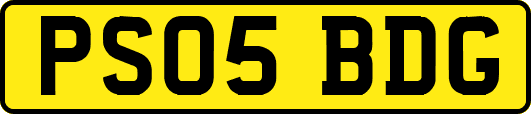 PS05BDG