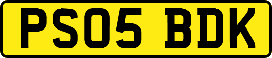 PS05BDK