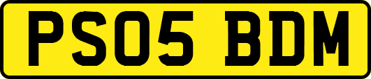 PS05BDM