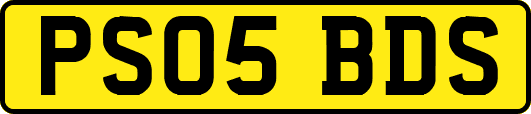 PS05BDS