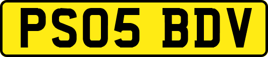 PS05BDV