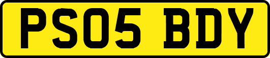 PS05BDY