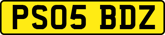 PS05BDZ