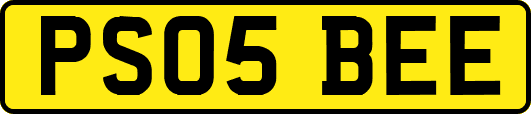 PS05BEE