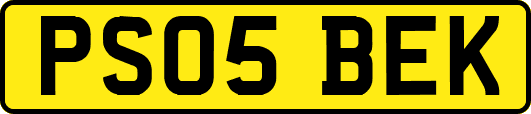 PS05BEK