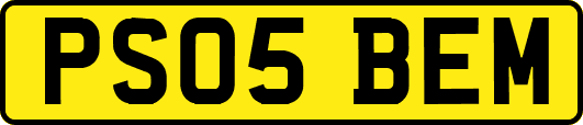 PS05BEM