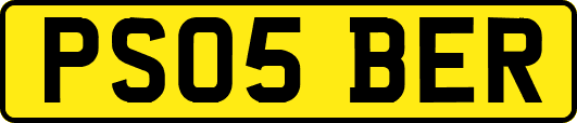 PS05BER