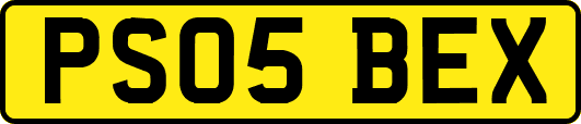 PS05BEX