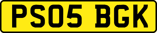 PS05BGK